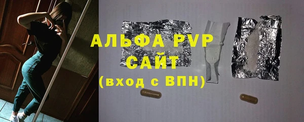 spice Богородицк