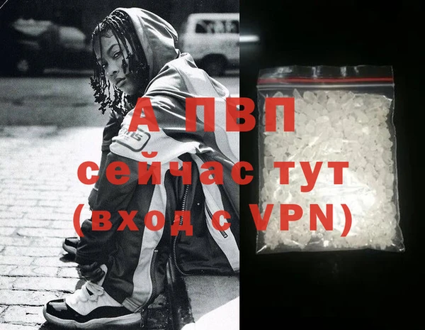 прущий лед Богданович