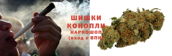 прущий лед Богданович