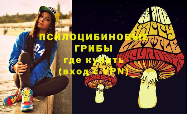 гидропоника Балабаново