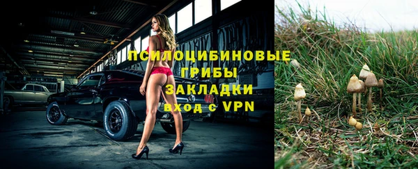 молекула духа Бугульма