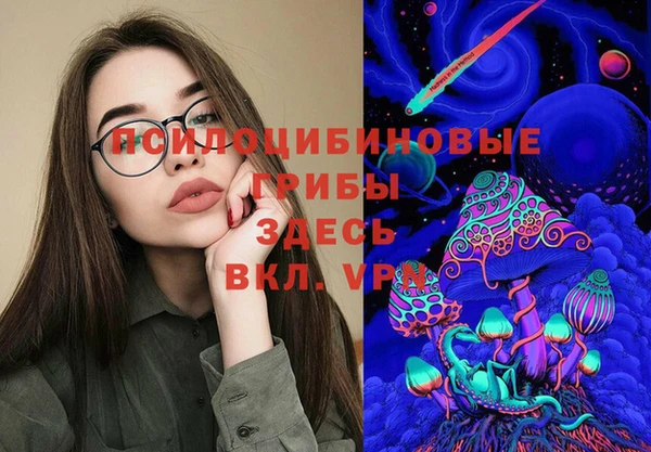прущий лед Богданович