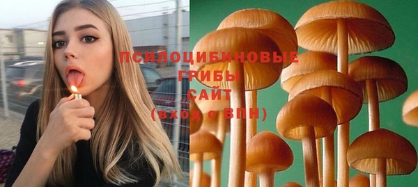 прущий лед Богданович