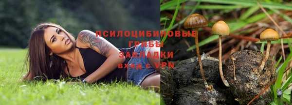 spice Богородицк