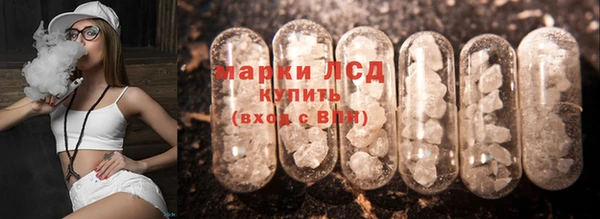 spice Богородицк