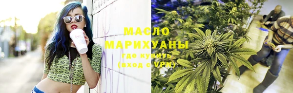 spice Богородицк